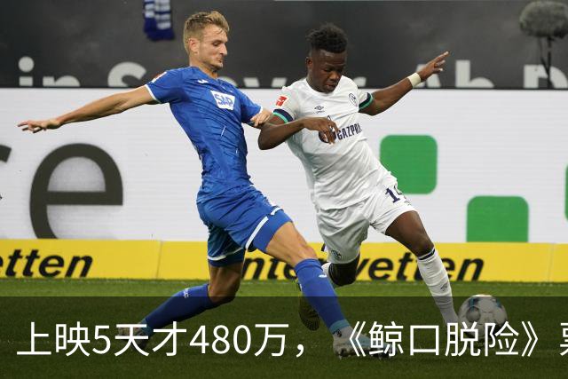 上映5天才480万，《鲸口脱险》票房扑街，苦茶翻车，片方亏到怀疑人生