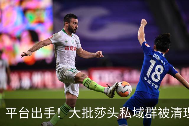 平台出手！大批莎头私域群被清理，饭圈乱象整治，全网纷纷叫好