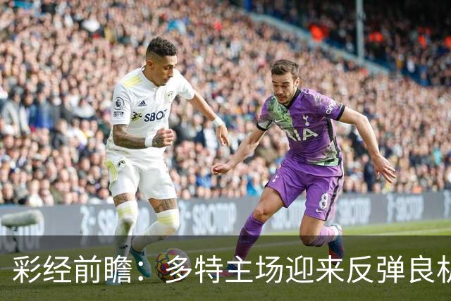 彩经前瞻：多特主场迎来反弹良机，法兰克福防线难挡大黄蜂