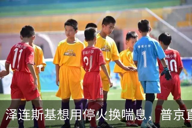 泽连斯基想用停火换喘息，普京直接锁死前提：领土不是谈判项