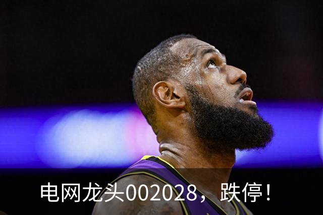 电网龙头002028，跌停！