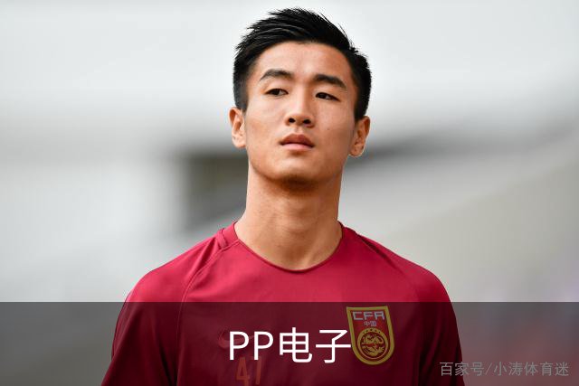 PP电子公司形象图